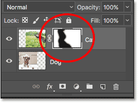 The layer mask thumbnail now contains both white and black.