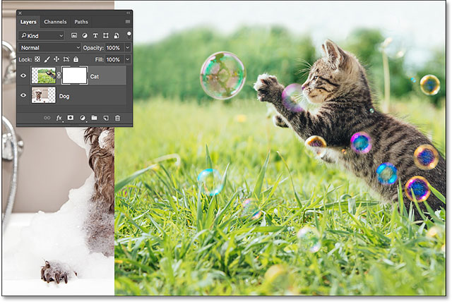 The cat image is 100% visible with the layer mask filled with white.