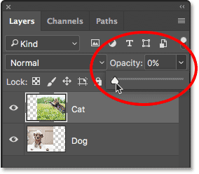 Lowering the opacity of the top layer to 0%.