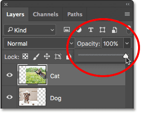Increasing the Opacity value back to 100%.