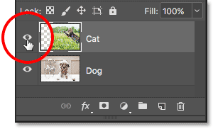 Clicking the visibility icon for the Cat layer.