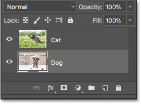 Both layers have been renamed.