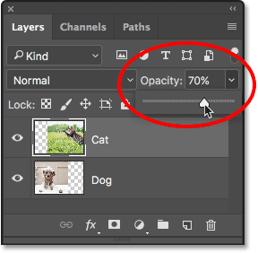 Lowering the opacity of the top layer to 70 percent.
