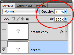 The Opacity and Fill options in the Layers panel in Photoshop.