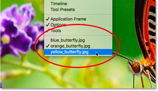 A list of open documents appears in the Window menu in Photoshop.