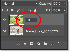 Renaming the top layer in the Layers panel.