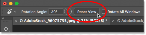 The Reset View button for the Rotate View Tool in Photoshop
