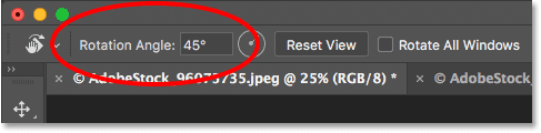The Rotation Angle option for the Rotate View Tool in Photoshop