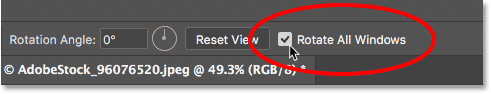 The Rotate All Windows option for the Rotate View Tool in Photoshop
