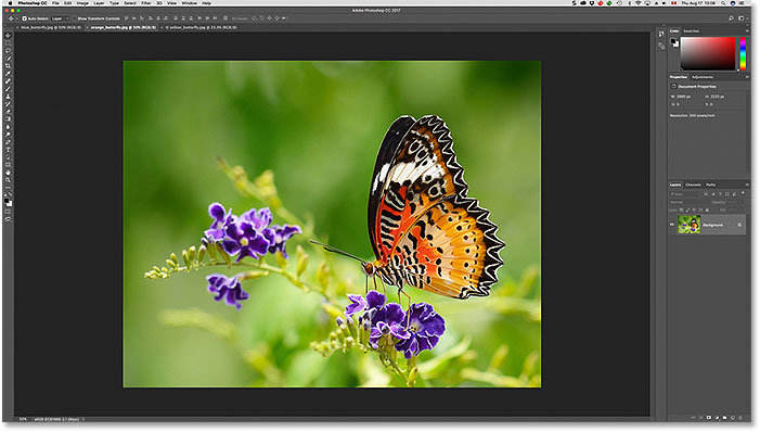 A second open image is visible after clicking its tab. Image licensed from Adobe Stock.