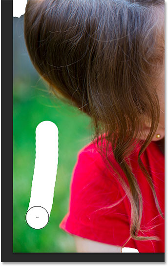 Brushing over part of the unwanted background area with the Focus Area Subtract Tool. 