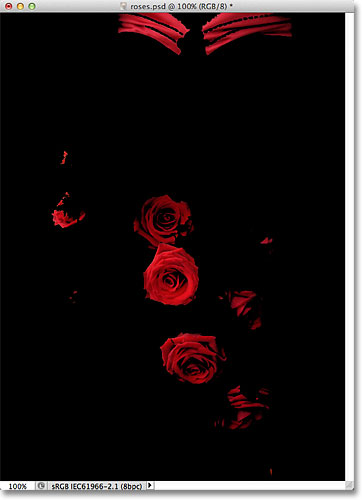 The selection preview is now displayed against a black matte in the document window. 