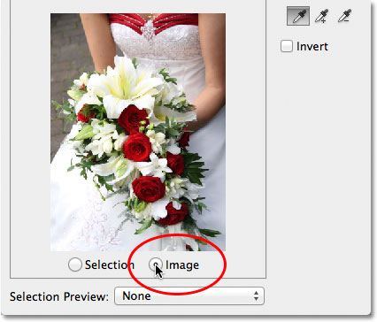 Switching between the Image and Selection options in the Color Range dialog box. 