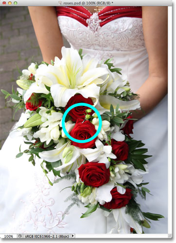 Selecting an initial color with the Color Range command. 