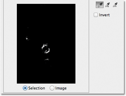 An initial selection preview appears in the preview window. 