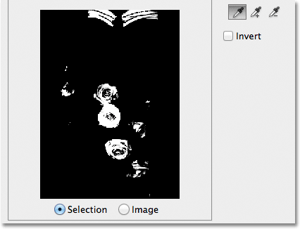 The preview window shows more areas added to the selection. 