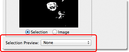 The Selection Preview option in the Color Range dialog box. 
