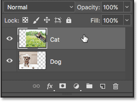 Selecting the top layer in the Layers panel.