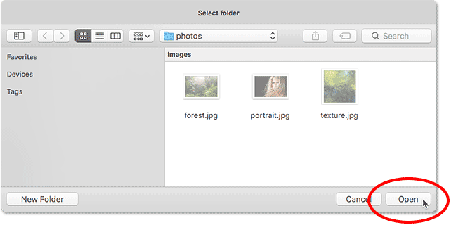 Click OK (Win) / Open (Mac) to automatically select all files within the folder.