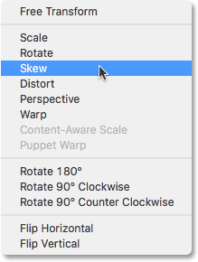 Selecting Skew from the list of transform commands. 