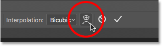 Clicking the Warp / Free Transform toggle button in the Options Bar. 
