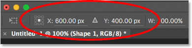 The X and Y coordinate fields in the Options Bar. 