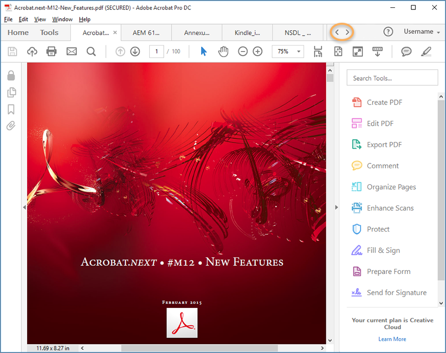 Tabbed document view for multiple PDFs viewing