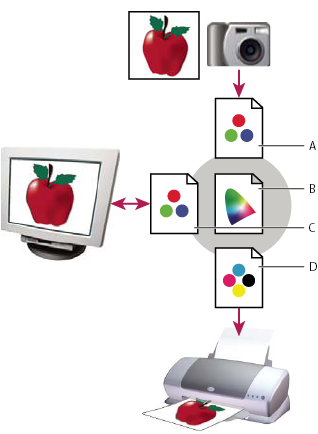 Managing color with profiles