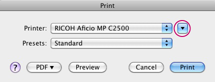 Expanded mode Print Dialog box