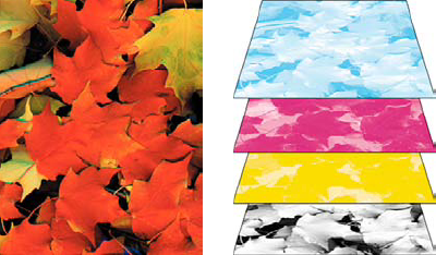 Composite (left) and separations (right)
