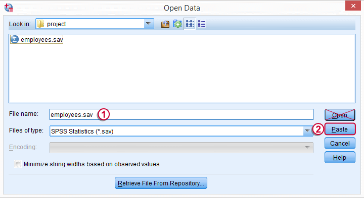 SPSS Open Data Dialog
