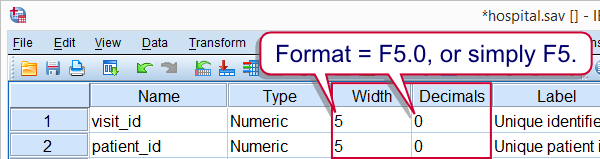 SPSS Numeric Variable Format under Variable View