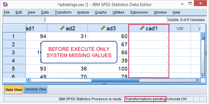 Transformations Pending in Data View After Running Transformation But Not EXECUTE