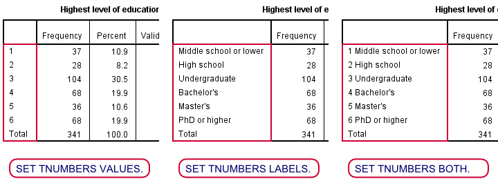 SPSS SET TNUMBERS Examples