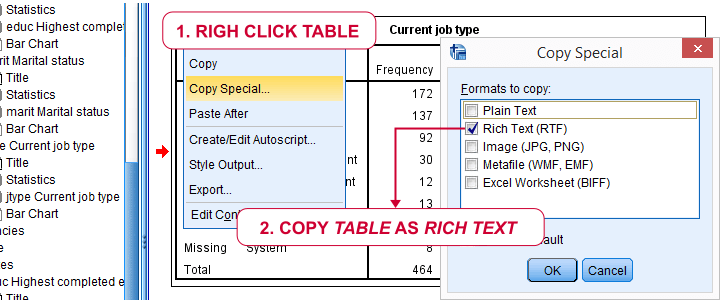 SPSS Output Table - Copy Special To WORD